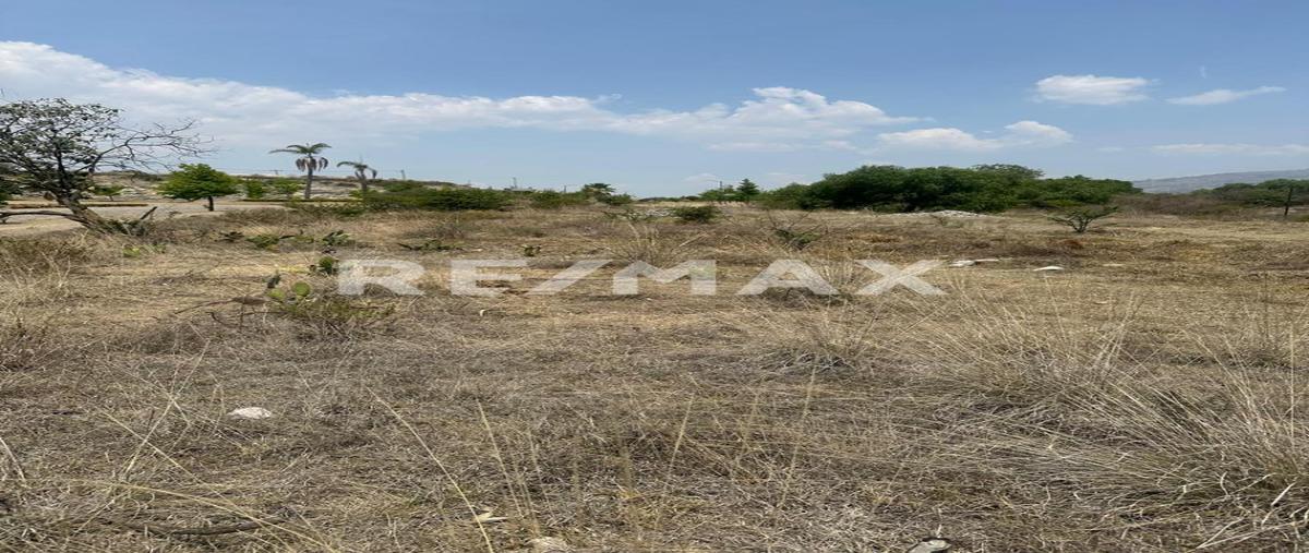 Foto de terreno habitacional en hacienda la concepción , hacienda la concepción, tepotzotlán, méxico, 0 foto 04 Foto de terreno habitacional en venta en hacienda la concepción , hacienda la concepción, tepotzotlán, méxico, 0 No. 04