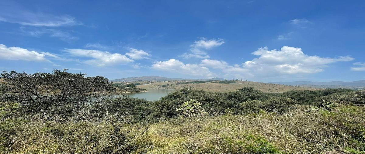 Foto de terreno habitacional en , hacienda la concepción, tepotzotlán, méxico, 0 foto 07 Foto de terreno habitacional en venta en , hacienda la concepción, tepotzotlán, méxico, 0 No. 07