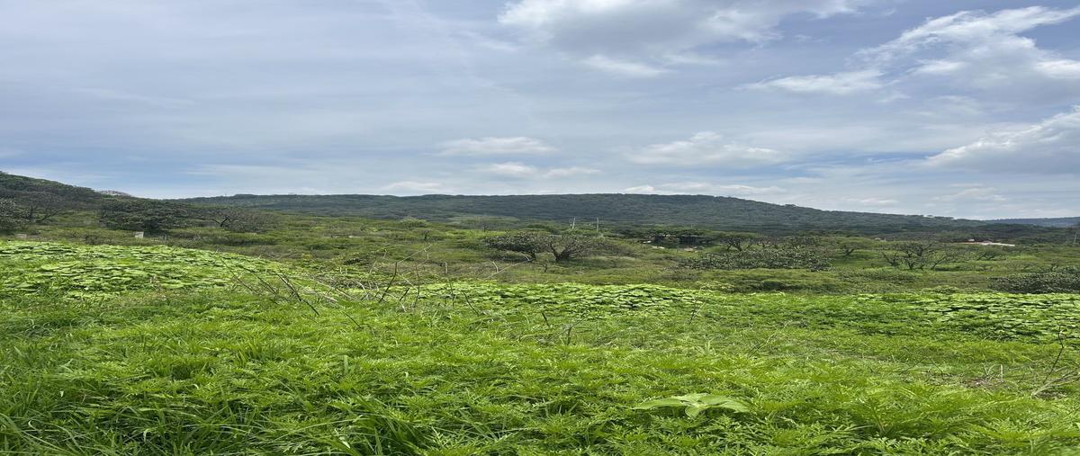 Foto de terreno habitacional en venta en  , hacienda la herradura, zapopan, jalisco, 0 No. 03