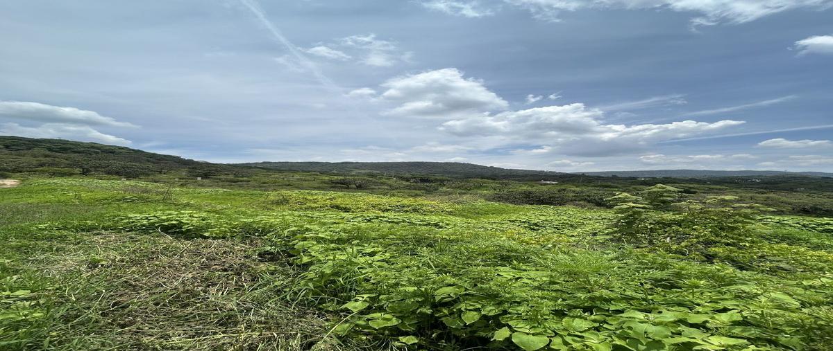 Foto de terreno habitacional en venta en  , hacienda la herradura, zapopan, jalisco, 0 No. 04