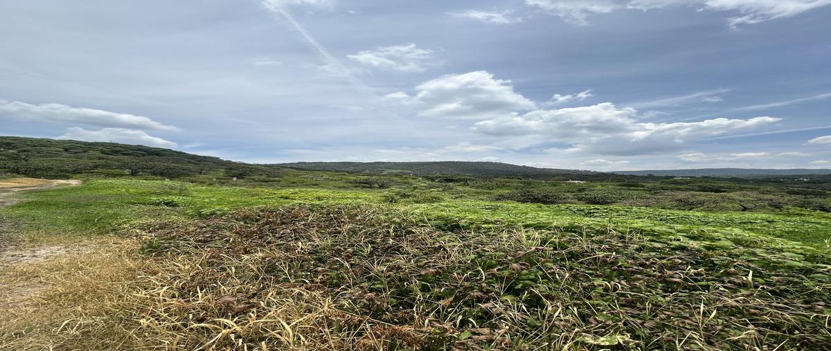 Foto de terreno habitacional en venta en  , hacienda la herradura, zapopan, jalisco, 0 No. 05