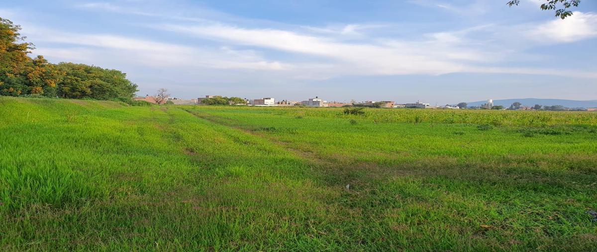 Foto de terreno habitacional en venta en  , hacienda la loma, zamora, michoacán de ocampo, 0 No. 03