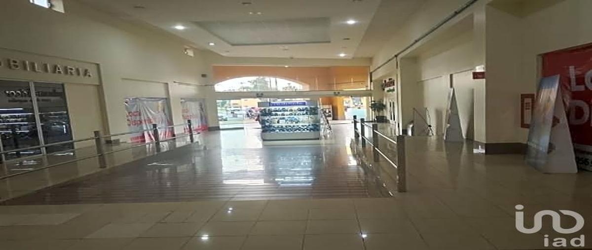 Foto de local en renta en hacienda la quemada 163, izcalli cuauhtÃ©moc vi, metepec, mÃ©xico, 31575845 No. 04