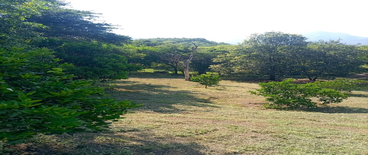 Foto de rancho en venta en hacienda las sabinas , el matorral, cadereyta jiménez, nuevo león, 0 No. 05