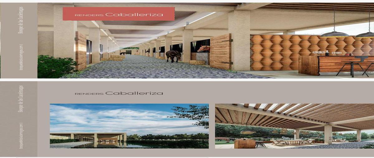 Foto de terreno habitacional en venta en  , hacienda nueva, aguascalientes, aguascalientes, 0 No. 05