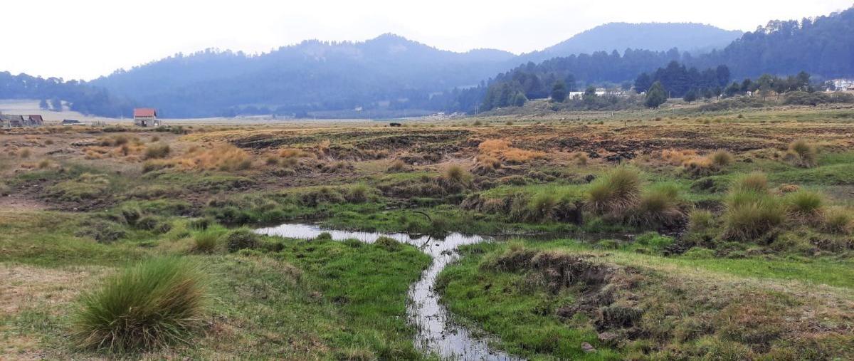 Foto de terreno habitacional en venta en hacienda nueva , amanalco de becerra, amanalco, méxico, 28497518 No. 03