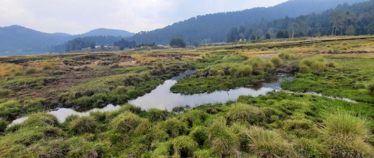 Foto de terreno habitacional en venta en hacienda nueva , amanalco de becerra, amanalco, méxico, 28497518 No. 04