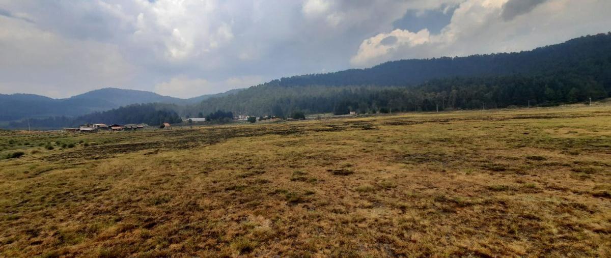 Foto de terreno habitacional en venta en hacienda nueva , amanalco de becerra, amanalco, méxico, 28497518 No. 05