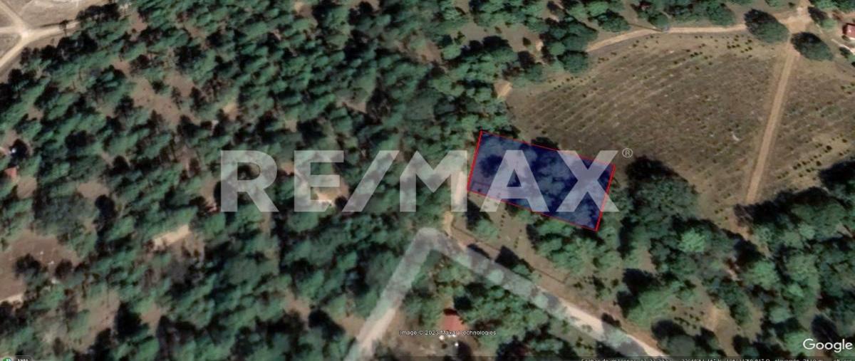 Foto de terreno habitacional en venta en hacienda peñon blanco , llano grande, durango, durango, 27131498 No. 05