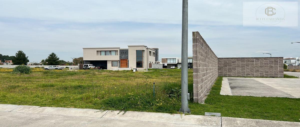 Foto de terreno habitacional en venta en  , hacienda san antonio, metepec, méxico, 30301838 No. 03