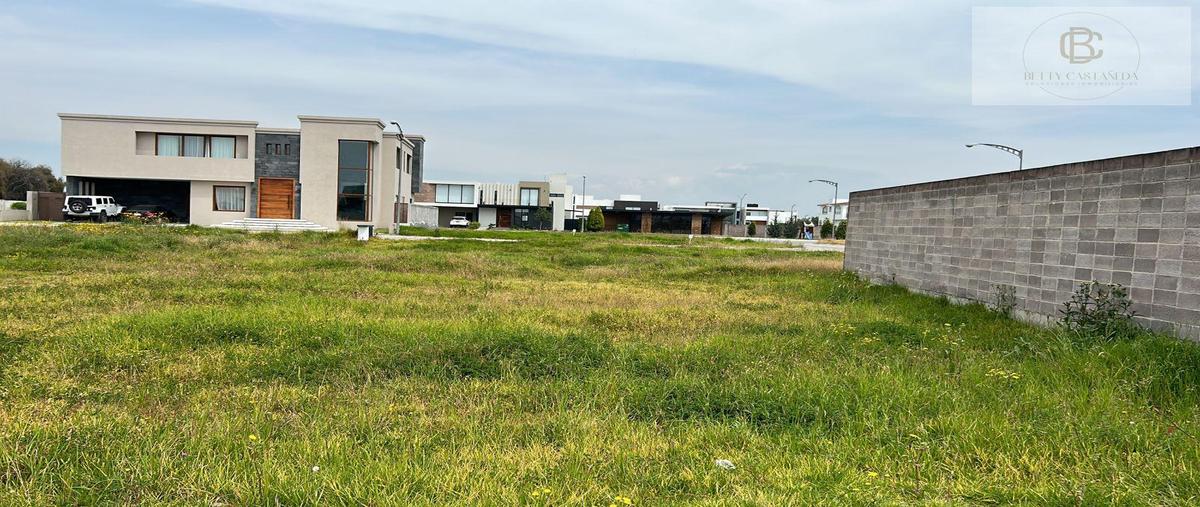 Foto de terreno habitacional en venta en  , hacienda san antonio, metepec, méxico, 30301838 No. 05
