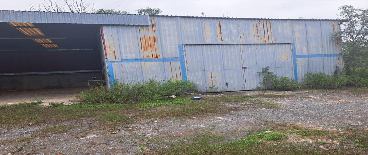 Foto de local en renta en  , hacienda san felipe, linares, nuevo león, 27341923 No. 05