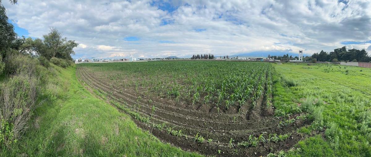 Foto de terreno habitacional en venta en  , hacienda san josé barbabosa, zinacantepec, méxico, 28270878 No. 05