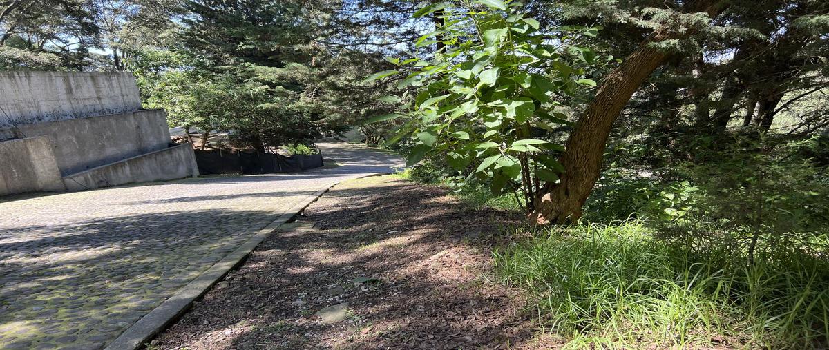 Foto de terreno habitacional en venta en  , hacienda san martín, ocoyoacac, méxico, 25409064 No. 04