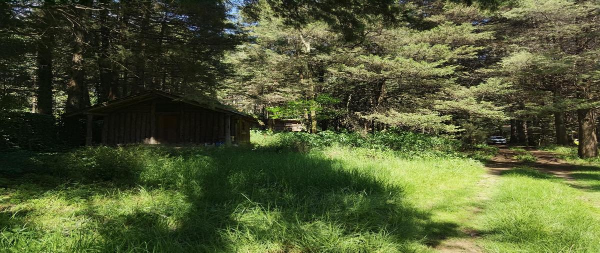 Foto de terreno habitacional en venta en  , hacienda san martín, ocoyoacac, méxico, 27379144 No. 03
