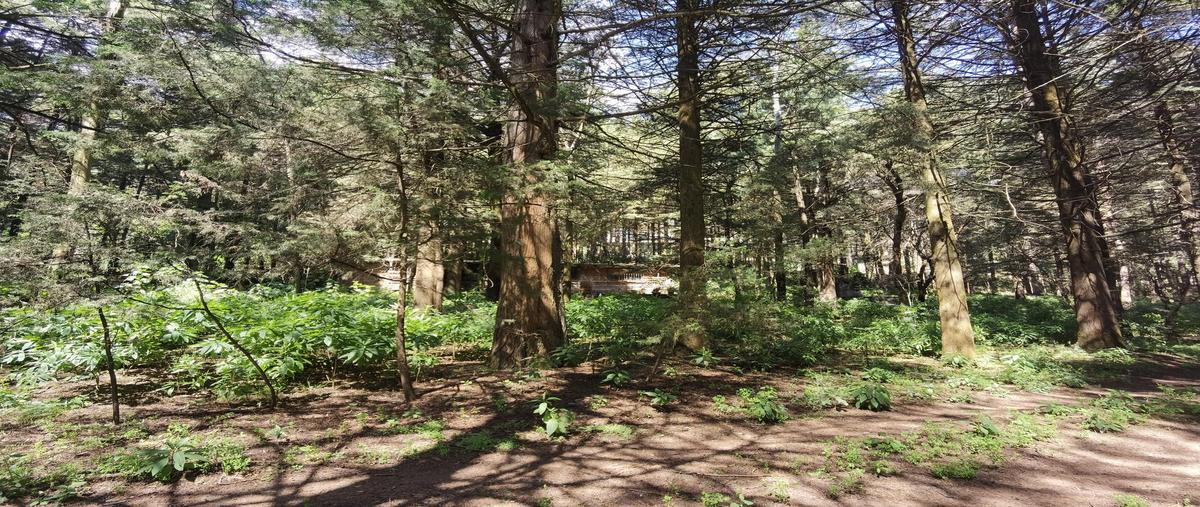 Foto de terreno habitacional en venta en  , hacienda san martín, ocoyoacac, méxico, 27379144 No. 05