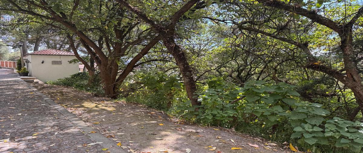 Foto de terreno habitacional en venta en  , hacienda san martín, ocoyoacac, méxico, 29263827 No. 03