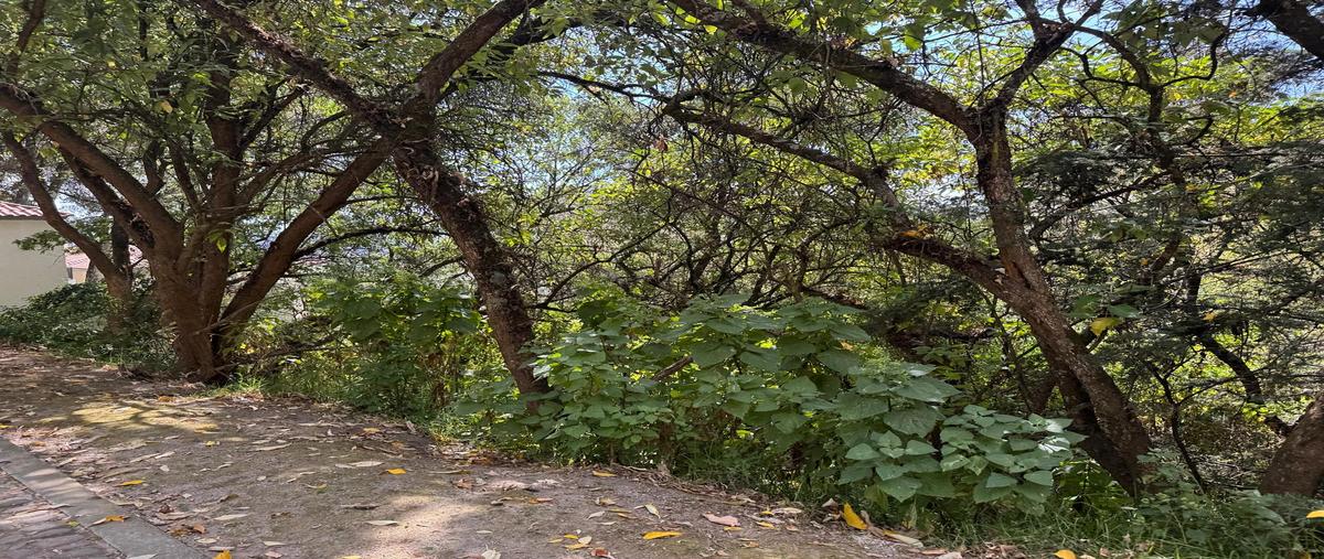 Foto de terreno habitacional en venta en  , hacienda san martín, ocoyoacac, méxico, 29263827 No. 04