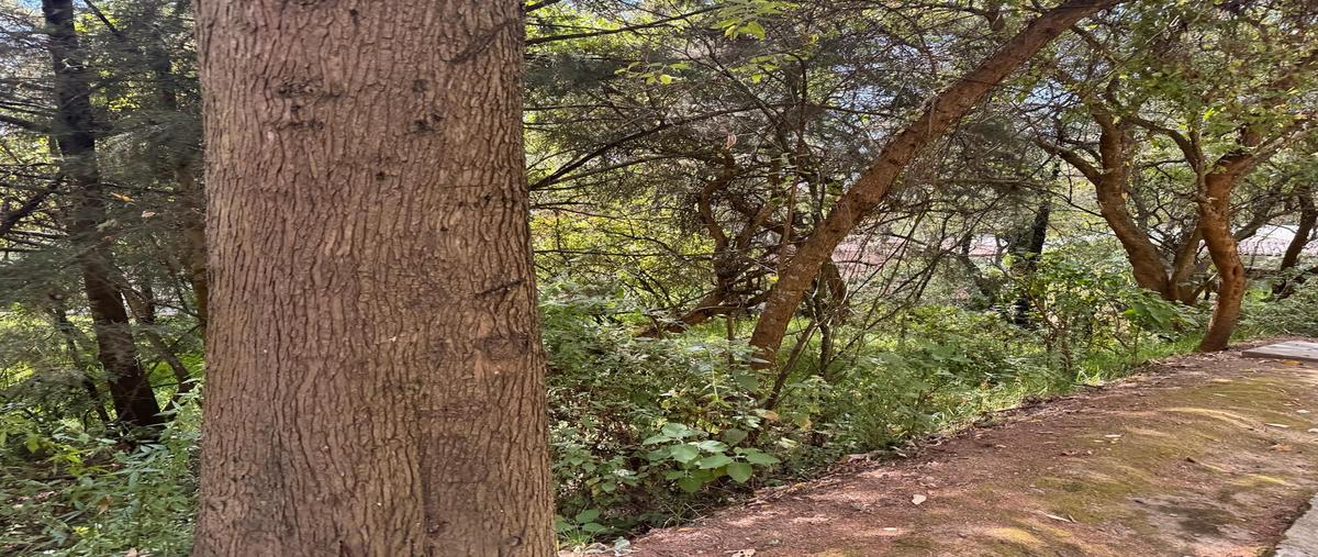 Foto de terreno habitacional en venta en  , hacienda san martín, ocoyoacac, méxico, 29263827 No. 05