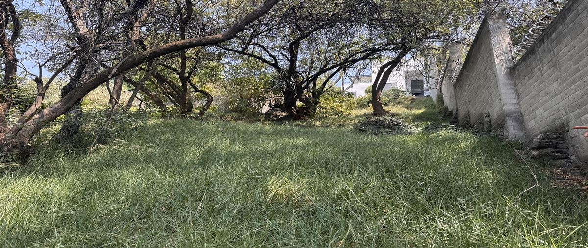 Foto de terreno habitacional en venta en  , hacienda san martín, ocoyoacac, méxico, 29531743 No. 04