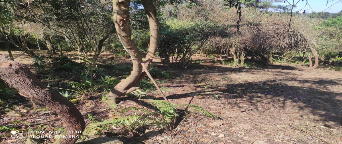 Foto de terreno habitacional en venta en hacienda santana , cuadrilla de dolores, valle de bravo, méxico, 30079772 No. 03