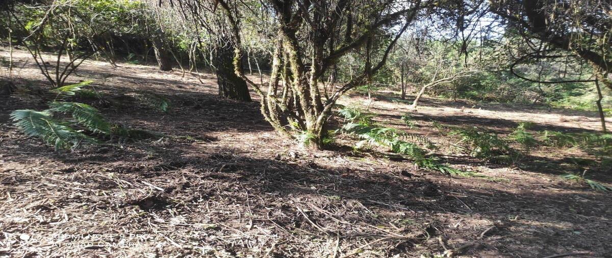 Foto de terreno habitacional en venta en hacienda santana , cuadrilla de dolores, valle de bravo, méxico, 30079772 No. 04