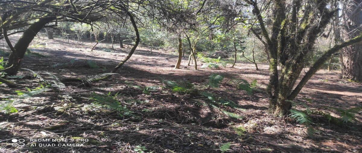 Foto de terreno habitacional en venta en hacienda santana , cuadrilla de dolores, valle de bravo, méxico, 30079772 No. 05