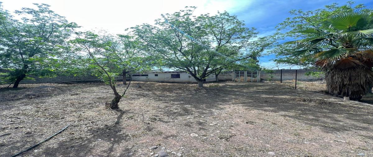 Foto de terreno habitacional en renta en  , hacienda tabalaopa, chihuahua, chihuahua, 0 No. 04