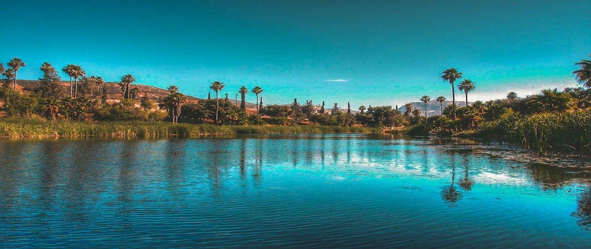 Foto de terreno habitacional en venta en  , hacienda tecate, tecate, baja california, 25664544 No. 03