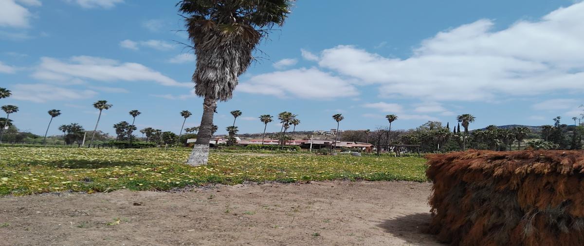 Foto de terreno habitacional en venta en  , hacienda tecate, tecate, baja california, 0 No. 05