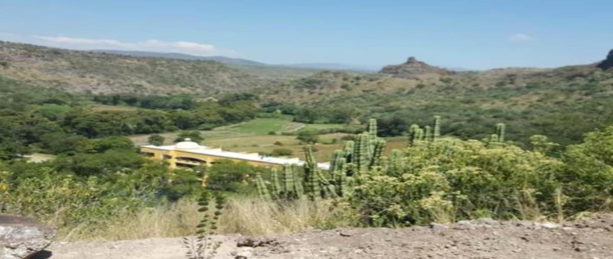 Foto de terreno habitacional en venta en hacienda yextho 21, hidalgo centro, tecozautla, hidalgo, 25706485 No. 04