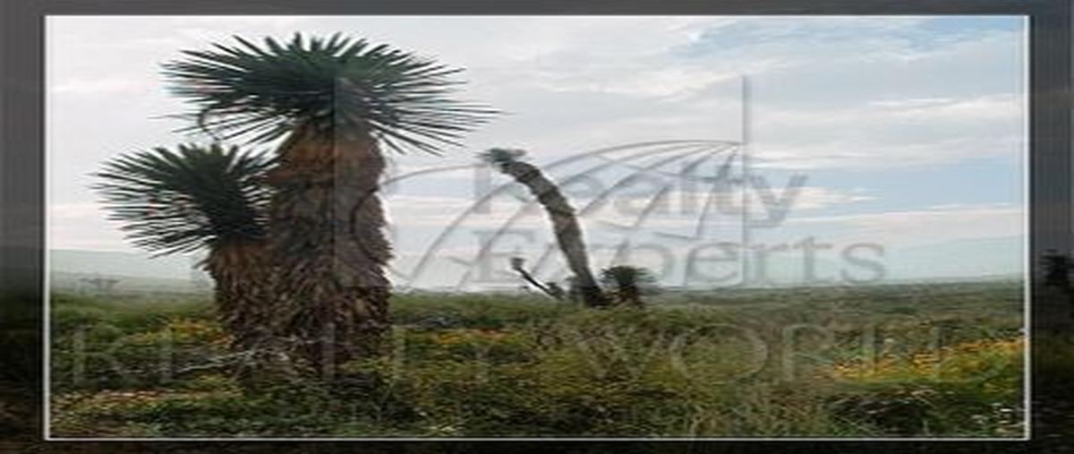 Foto de rancho en , haciendas de la sierra, monterrey, nuevo león, 0 foto 04 Foto de rancho en venta en , haciendas de la sierra, monterrey, nuevo león, 0 No. 04