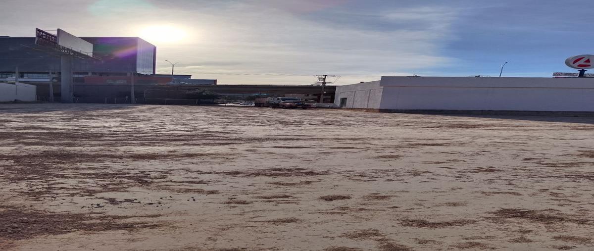 Foto de terreno comercial en renta en haciendas del valle , haciendas del valle i, chihuahua, chihuahua, 26251720 No. 05