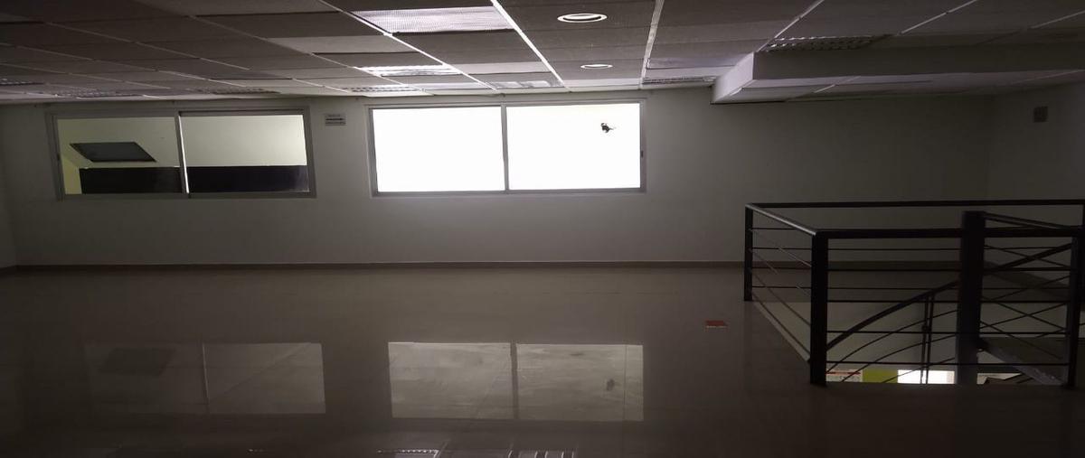 Foto de local en renta en hamburgo , cuauhtémoc, cuauhtémoc, df / cdmx, 20205241 No. 03