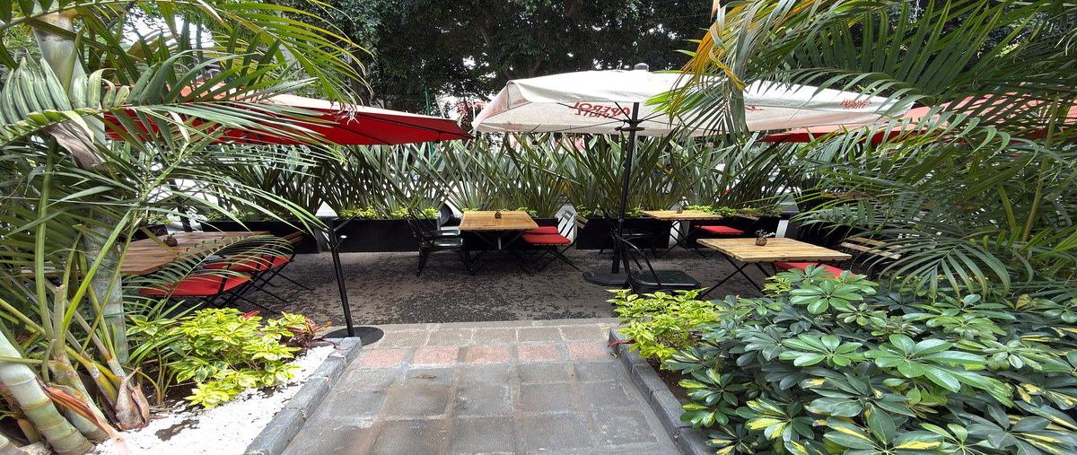 Foto de local en renta en hamburgo , juárez, cuauhtémoc, df / cdmx, 0 No. 03