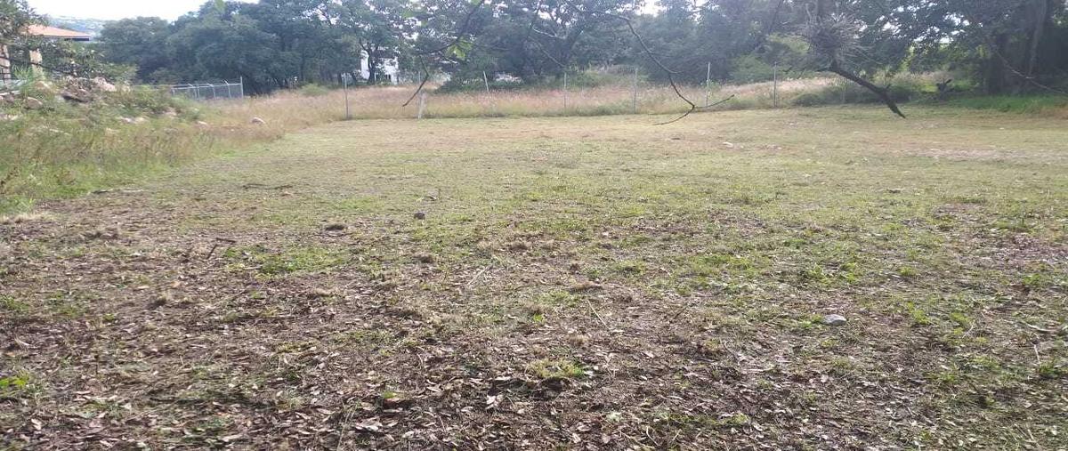 Foto de terreno habitacional en venta en haras del bosque , campestre haras, amozoc, puebla, 28777731 No. 05