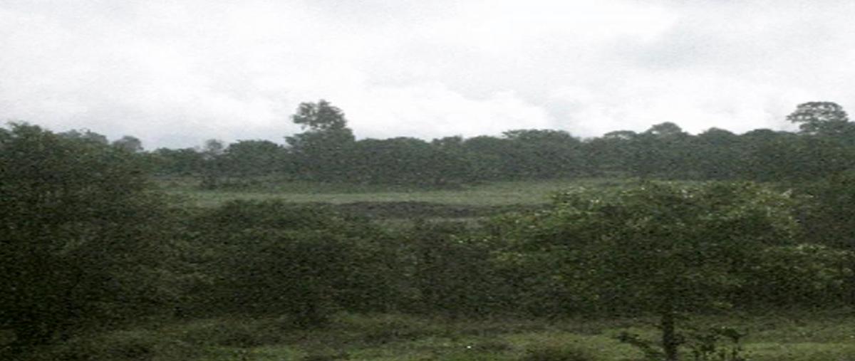 Foto de terreno habitacional en venta en haras del bosque ciudad ecologica 0, la joya, puebla, puebla, 8921977 No. 03