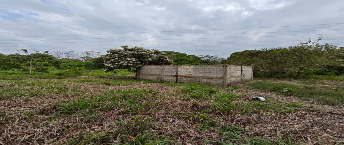 Foto de terreno habitacional en , hato nuevo, cosoleacaque, veracruz de ignacio de la llave, 0 foto 03 Foto de terreno habitacional en venta en , hato nuevo, cosoleacaque, veracruz de ignacio de la llave, 0 No. 03