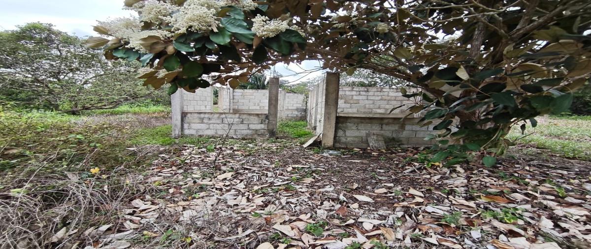 Foto de terreno habitacional en , hato nuevo, cosoleacaque, veracruz de ignacio de la llave, 0 foto 05 Foto de terreno habitacional en venta en , hato nuevo, cosoleacaque, veracruz de ignacio de la llave, 0 No. 05