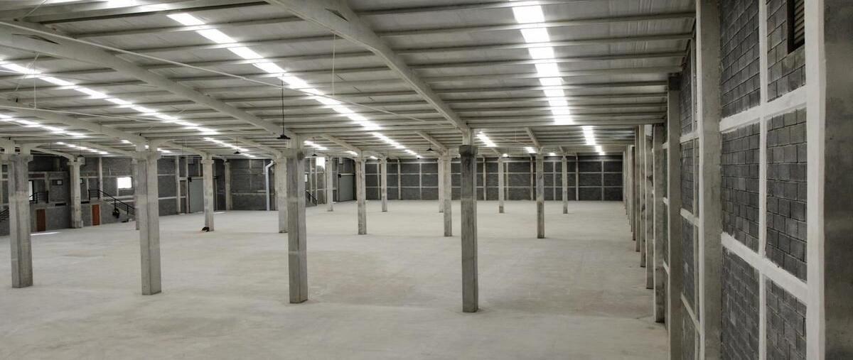 Foto de nave industrial en renta en heberto castillo , santa catarina industrial park, santa catarina, nuevo león, 0 No. 04