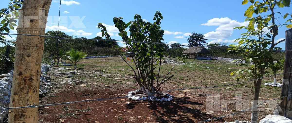 Foto de terreno habitacional en venta en  , hecelchakan, hecelchakán, campeche, 0 No. 03