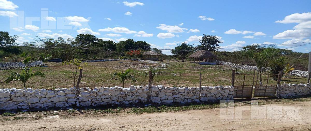 Foto de terreno habitacional en venta en  , hecelchakan, hecelchakán, campeche, 0 No. 04