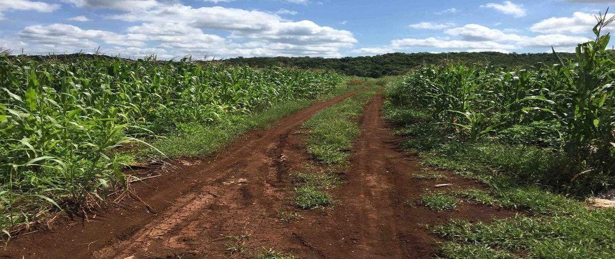 Foto de rancho en venta en  , hecelchakan, hecelchakán, campeche, 25948844 No. 03