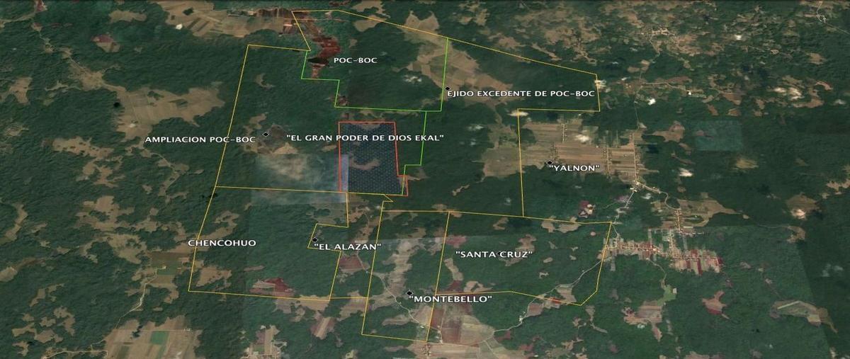 Foto de rancho en venta en  , hecelchakan, hecelchakán, campeche, 25948844 No. 04