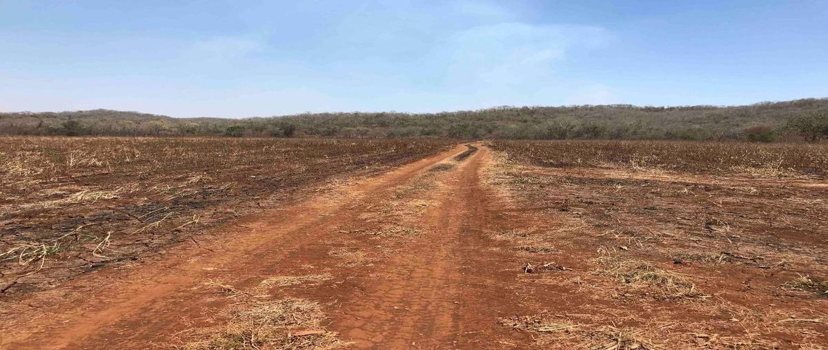 Foto de rancho en venta en  , hecelchakan, hecelchakán, campeche, 25948844 No. 05