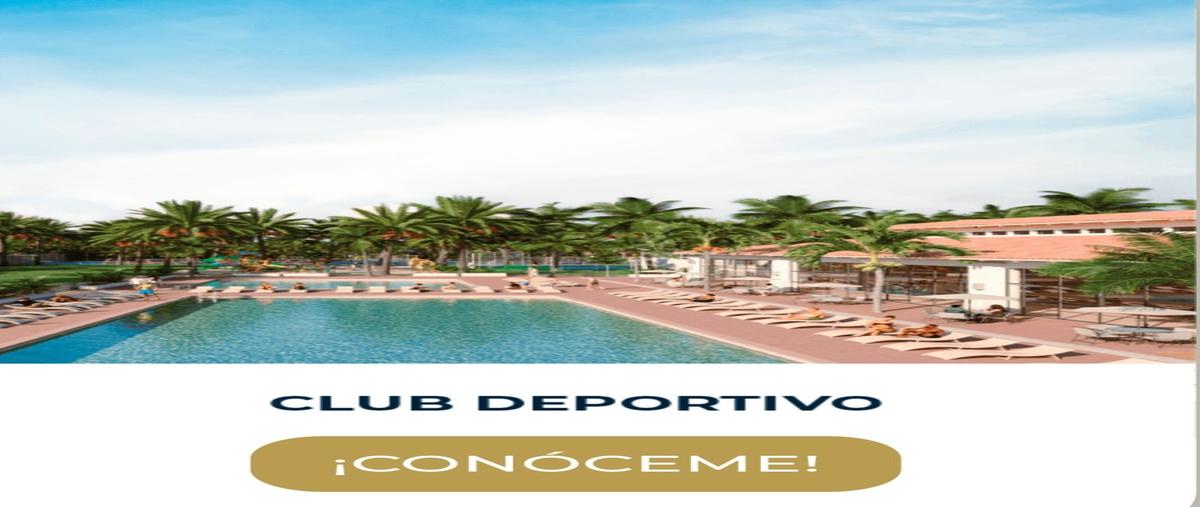 Foto de terreno habitacional en venta en helechos 127, leandro valle, mérida, yucatán, 30790272 No. 04