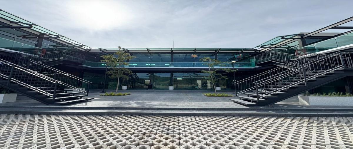 Foto de local en renta en helechos , los robles, zapopan, jalisco, 30389182 No. 06