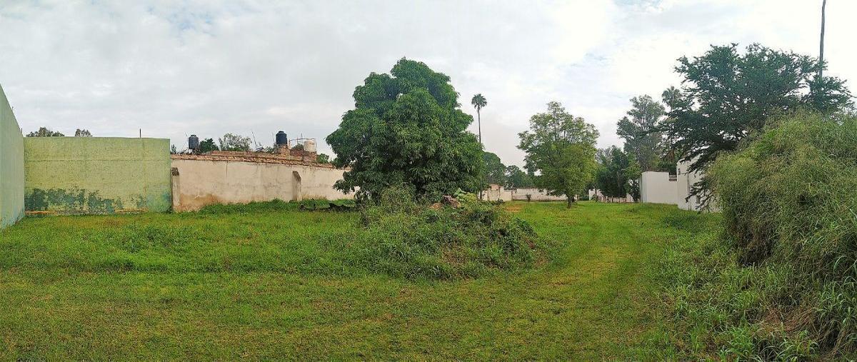 Foto de rancho en venta en heliodoro hernandez loza , el salto centro, el salto, jalisco, 0 No. 04