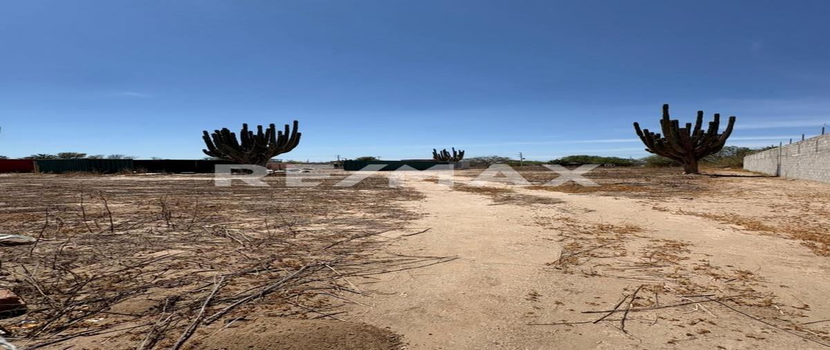 Foto de terreno habitacional en venta en hematita , la pitahaya, la paz, baja california sur, 0 No. 04