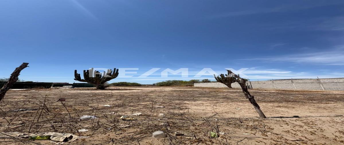 Foto de terreno habitacional en venta en hematita , la pitahaya, la paz, baja california sur, 0 No. 05